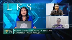 Incar Insentif Likuiditas, BPD Perluas Kredit ke UMKM