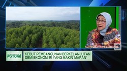 Jurus Pemerintah Kebut Pembangunan Berkelanjuan