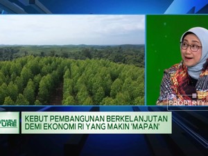 Jurus Pemerintah Kebut Pembangunan Berkelanjuan
