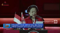 Megawati Colek Jokowi soal Bea Masuk Impor Gandum
