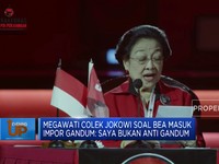 Megawati Colek Jokowi soal Bea Masuk Impor Gandum