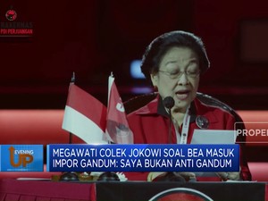 Megawati Colek Jokowi soal Bea Masuk Impor Gandum