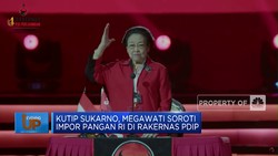 Megawati Soroti Impor Pangan RI di Rakernas PDIP