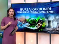 Video: Bursa Karbon RI Benar Bisa Mengurangi Emisi?
