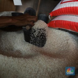 Lapor Pak Jokowi! Harga Beras Makin Mengkhawatirkan