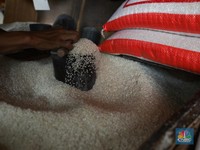 Harga Beras Masih Terus Naik, Ternyata Ini Penyebabnya