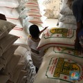 Harga Beras Masih Tembus Rp13.000/ Kg, Stok Beras RI Langka?