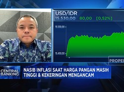 Rupiah Akhir Tahun Diramal Tertahan di Rp 15.500/USD, Kenapa?