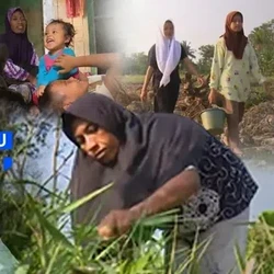 Kisah Ibu Buruh Tani Hidupi 7 Anak dengan Kaki tak Sempurna