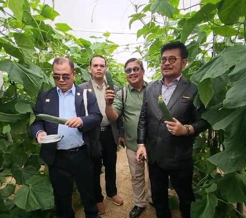 Menteri Pertanian, Syahrul Yasin Limpo saat melakukan kunjungan kerja di Almeria, Spanyol. (Dok Kementerian Pertanian)