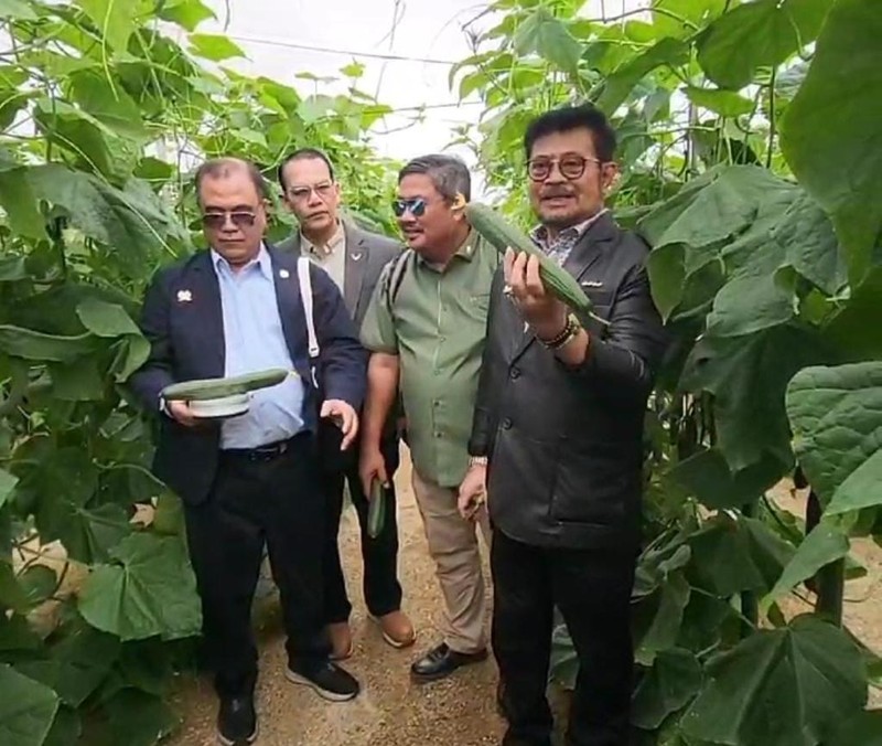 Menteri Pertanian, Syahrul Yasin Limpo saat melakukan kunjungan kerja di Almeria, Spanyol. (Dok Kementerian Pertanian)