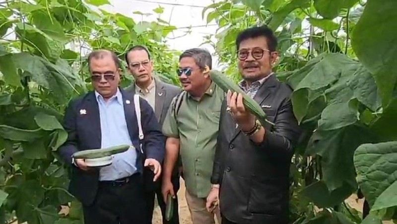 Menteri Pertanian, Syahrul Yasin Limpo saat melakukan kunjungan kerja di Almeria, Spanyol. (Dok Kementerian Pertanian)