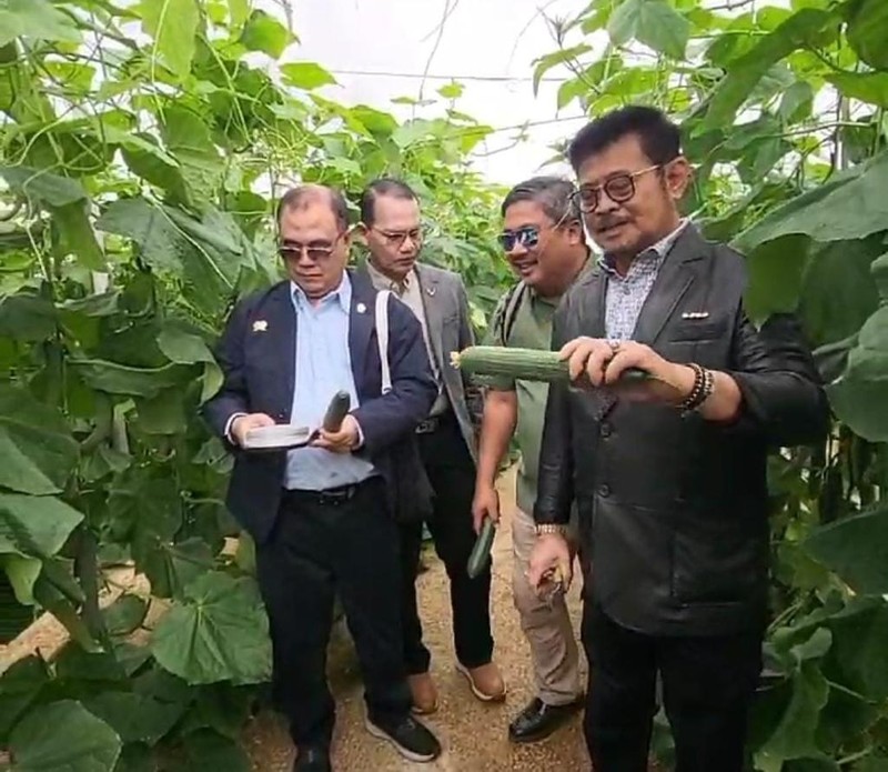 Menteri Pertanian, Syahrul Yasin Limpo saat melakukan kunjungan kerja di Almeria, Spanyol. (Dok Kementerian Pertanian)