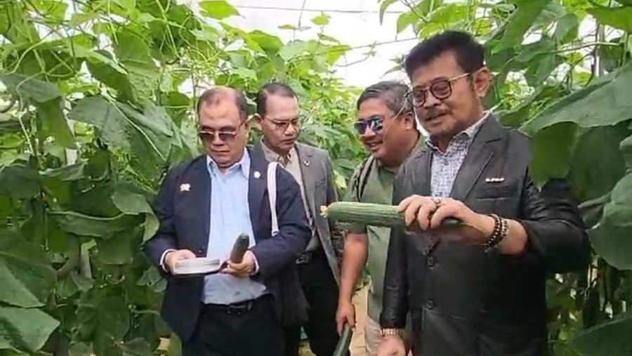 Menteri Pertanian, Syahrul Yasin Limpo saat melakukan kunjungan kerja di Almeria, Spanyol. (Dok Kementerian Pertanian)