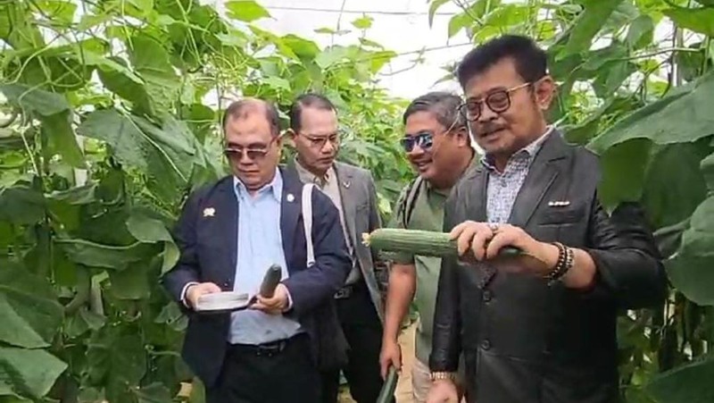 Menteri Pertanian, Syahrul Yasin Limpo saat melakukan kunjungan kerja di Almeria, Spanyol. (Dok Kementerian Pertanian)