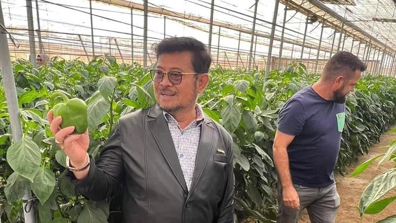 Menteri Pertanian, Syahrul Yasin Limpo saat melakukan kunjungan kerja di Almeria, Spanyol. (Dok Kementerian Pertanian)