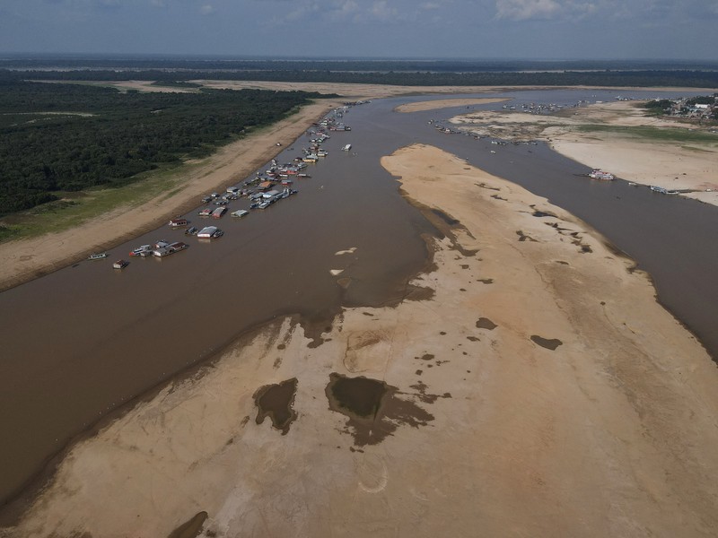 Seorang peneliti dari Institut Pembangunan Berkelanjutan Mamiraua mengambil lumba-lumba mati dari danau Tefe, aliran sungai Solimoes yang terkena dampak suhu tinggi dan kekeringan di Tefe, negara bagian Amazonas, Brasil, 2 Oktober 2023. (REUTERS/Bruno Kelly)