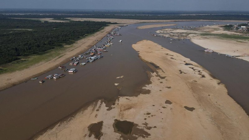 Seorang peneliti dari Institut Pembangunan Berkelanjutan Mamiraua mengambil lumba-lumba mati dari danau Tefe, aliran sungai Solimoes yang terkena dampak suhu tinggi dan kekeringan di Tefe, negara bagian Amazonas, Brasil, 2 Oktober 2023. (REUTERS/Bruno Kelly)