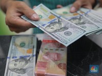 Warga RI Makin Rajin Numpuk Dolar AS, Gak Percaya Rupiah?