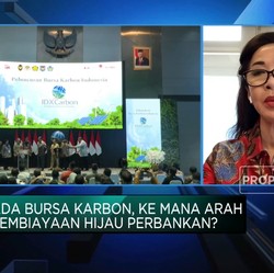 Ramai Bank Beli Unit Karbon, Demi Pekuat Pembiayaan Hijau?
