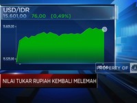 Video: Rupiah Amblas! Sentuh Rp 15.600 Per Dolar AS