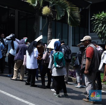 Penampakan Antrean Pencari Kerja Mengular di Senayan
