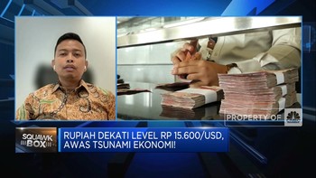 Kebijakan DHE Belum Signifikan, Pemerintah Kurang Sigap?