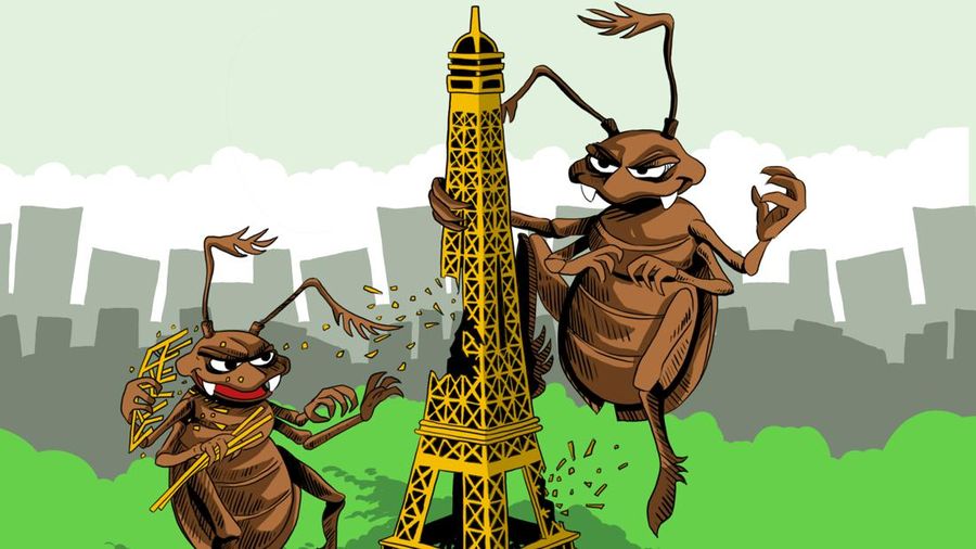 Kutu Busuk Serang Kota Paris, Begini Ciri-Cirinya di Kulit