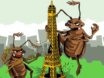 Kutu Busuk Serang Kota Paris, Begini Ciri-Cirinya di Kulit