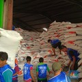 Operasi Pasar Diklaim Ampuh Pangkas Harga Beras 11%