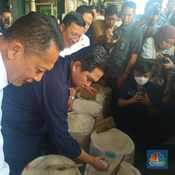 Bulog Sebut Harga Beras Tanda-tanda Turun, Ini Kata Pedagang