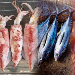Selain Tuna-Udang, KKP Mau Genjot Ekspor Hasil Laut Ini