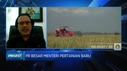 Harga Beras Naik, Petani Untung & Siap Genjot Produksi 2024!