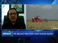 Harga Beras Naik, Petani Untung & Siap Genjot Produksi 2024!