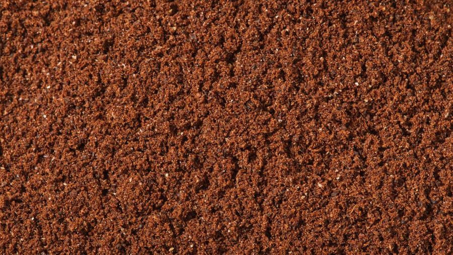 'Kopi tanpa biji' dari Atomo Coffee. (Atomo Coffee/Handout via REUTERS)