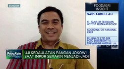 Petani Tak Sejahtera, Kedaulatan Pangan Sulit Terwujud?