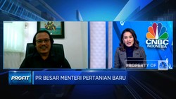 Produksi Turun & Impor Pangan Naik, PR Mentan Pengganti SYL