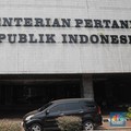 Kementan Sentil Keras Bulog Soal Impor Daging Kerbau, Ada Apa?