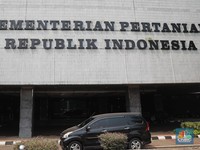 Kementan Sentil Keras Bulog Soal Impor Daging Kerbau, Ada Apa?