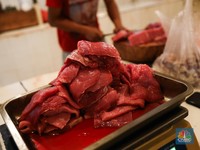 Selain dari Australia, RI Banjir Daging Sapi Impor Brasil
