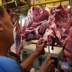 Studi: 90% Mikroplastik Ditemukan di Daging Sapi, Ayam & Tahu