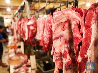 Impor Daging Sapi Tahun 2024 Ditetapkan Hampir 150.000 Ton
