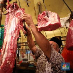 Harga Daging Sapi Segar di Sini Naik ke Rp150.000/ Kg