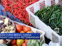Bukan Cuma Beras, Harga Pangan Lain Juga Beterbangan