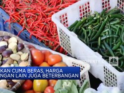 Bukan Cuma Beras, Harga Pangan Lain Juga Beterbangan