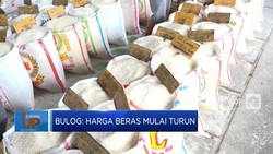 Bulog: Harga Beras Mulai Turun