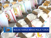 Bulog: Harga Beras Mulai Turun