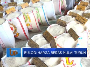 Bulog: Harga Beras Mulai Turun
