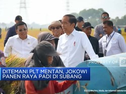 Ditemani Plt Mentan, Jokowi Panen Raya Padi di Subang