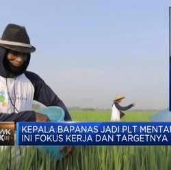 Ditunjuk Jadi Plt Mentan, Kepala Bapanas Langsung Ngegas